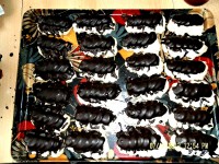 /album/fotogalerie/a1488029-725583770785738-2024195777-n-jpg/